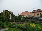 Třibřichy